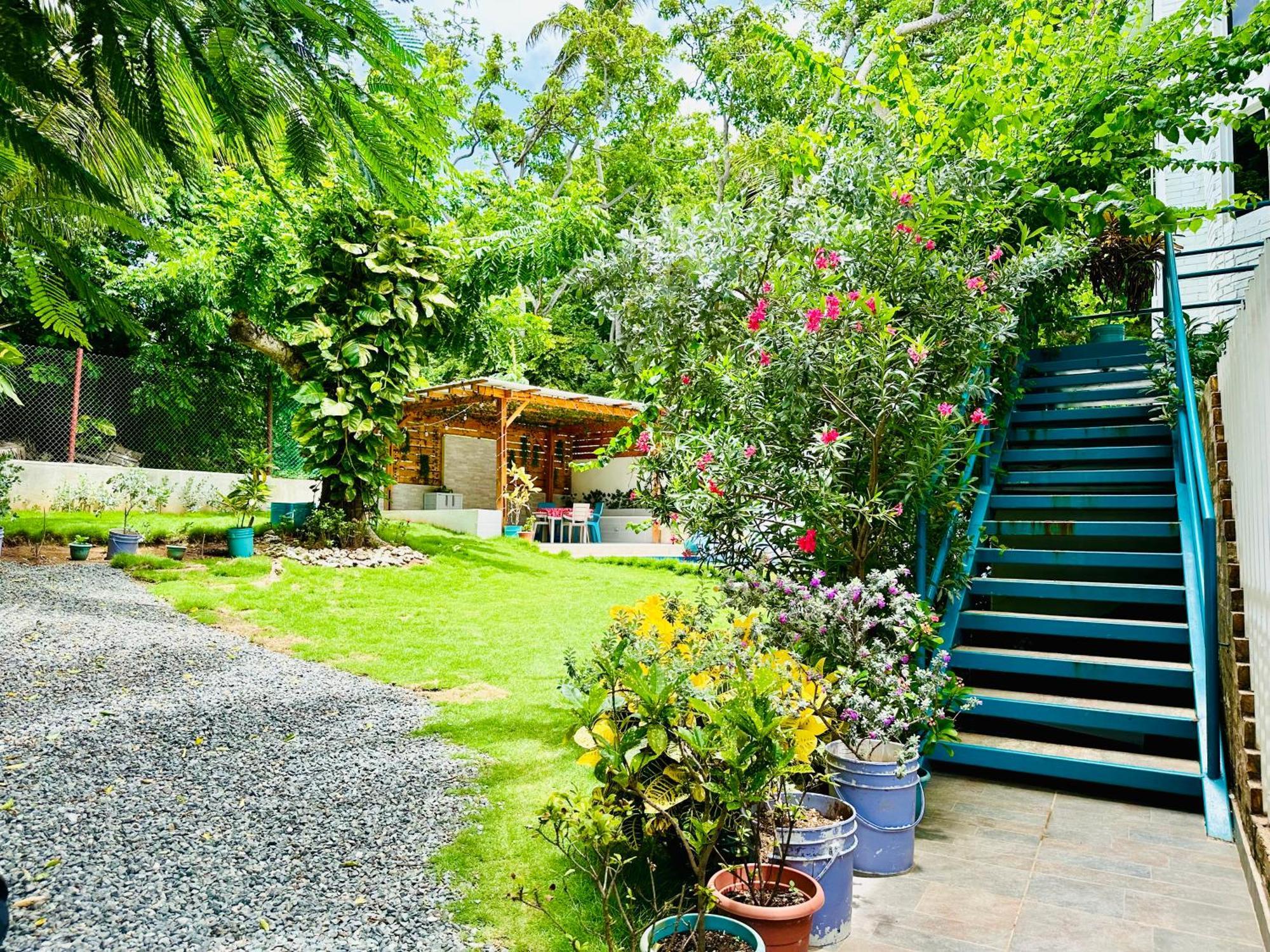 Palmare House Hotel San Andres  Exterior photo